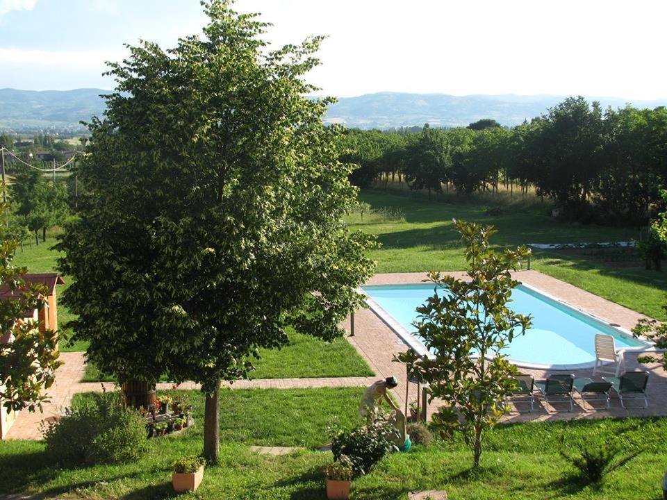 La Sorgente Del Subasio Assisi Apartment Екстериор снимка